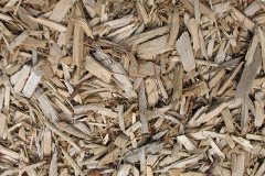 biomass boilers Monksilver
